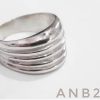 Anillo cinco cañas